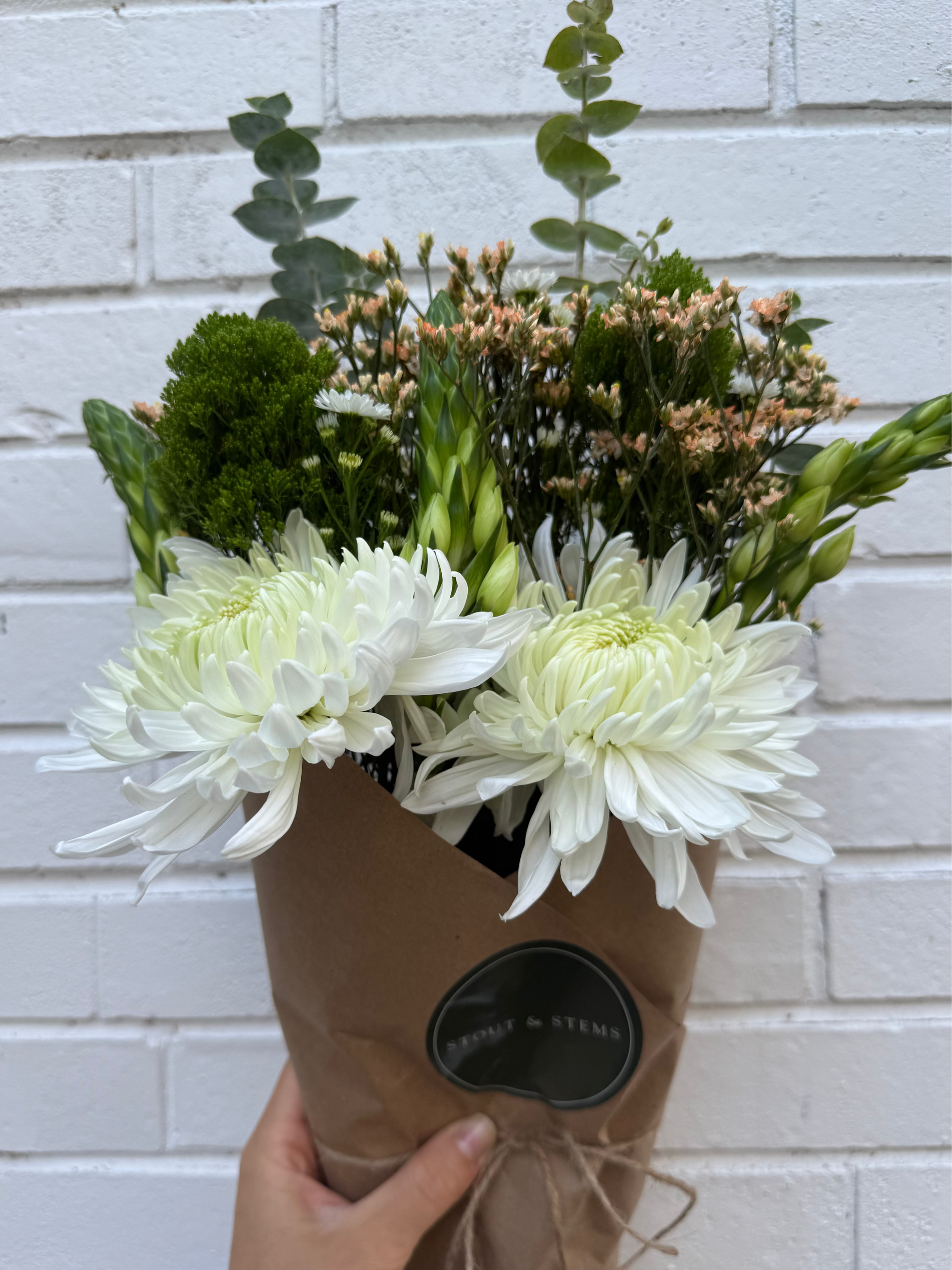 Stems of the Week